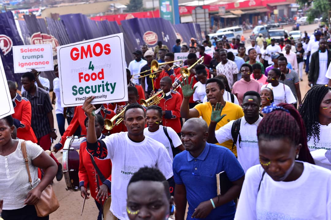 WePlanetAfrica's tweet photo. Did you know "GMO" doesnβt mean #unsafe. The term "#GMO" simply stands for "genetically modified organism," which #means agriculture scientists have given the plant different, beneficial properties. This was the #Walk4GMOs message.
#Yes2FoodSecurity #LetKenyansEat
@letsreplanet https://t.co/gdAbGa5PH9