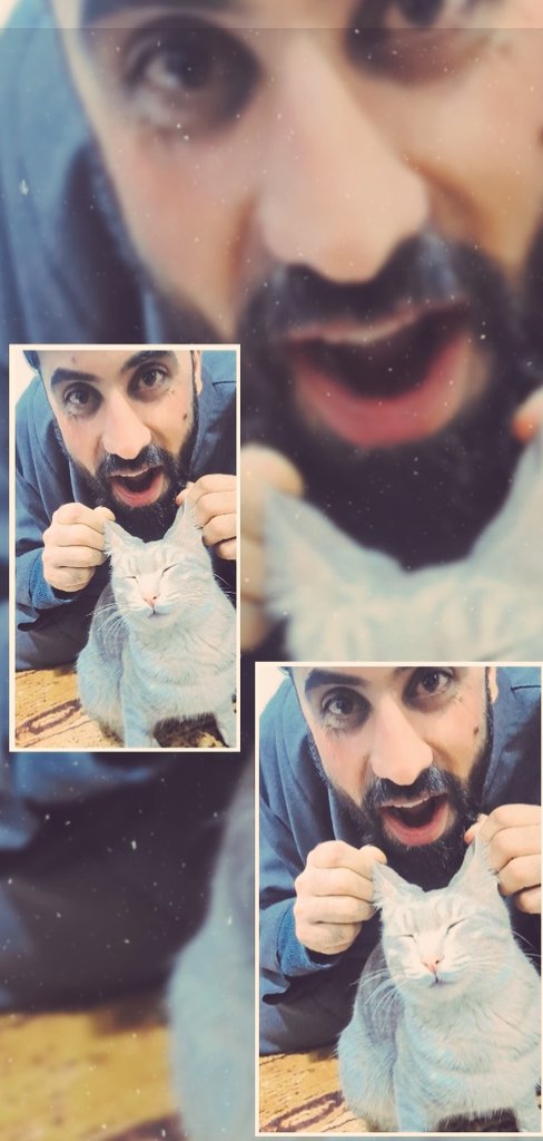 ShahijehanB's tweet photo. #SundayFunday 
#CatsOfTwitter 
#CatsAreFamily 
#Kashmir https://t.co/edQQRMypBp