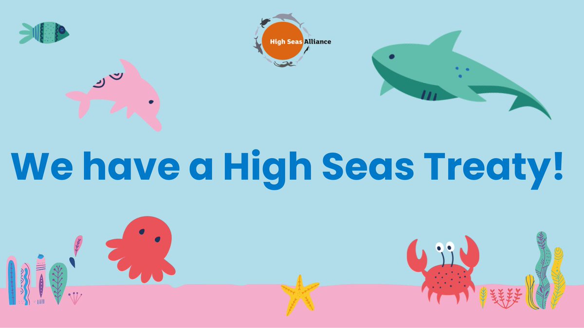 High Seas Alliance tweet media