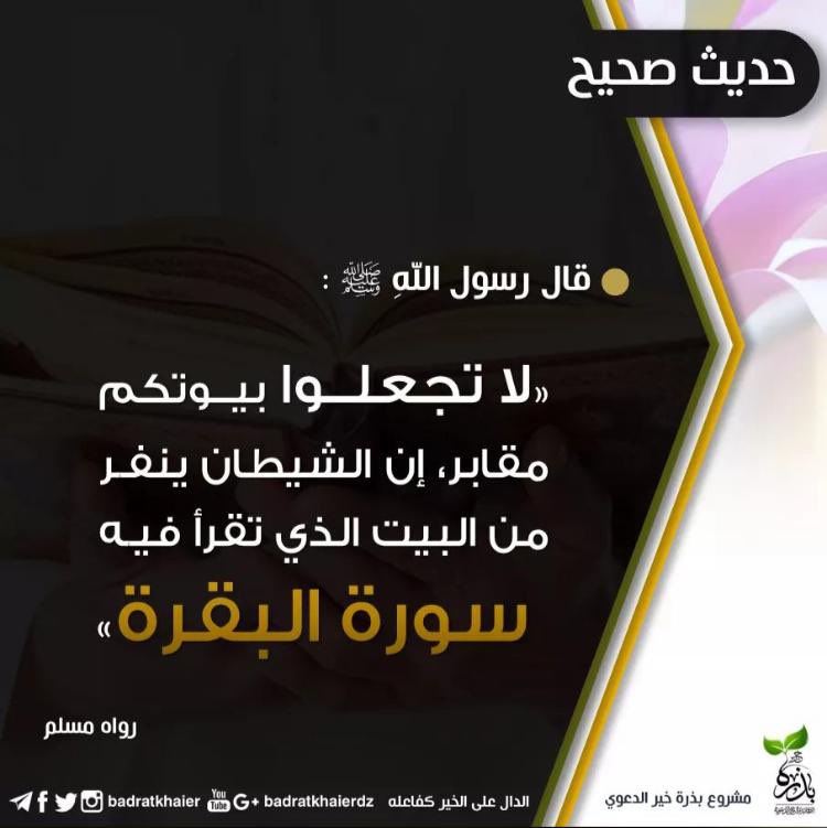 msd15_'s tweet photo. https://t.co/TyWxAm2Gjn