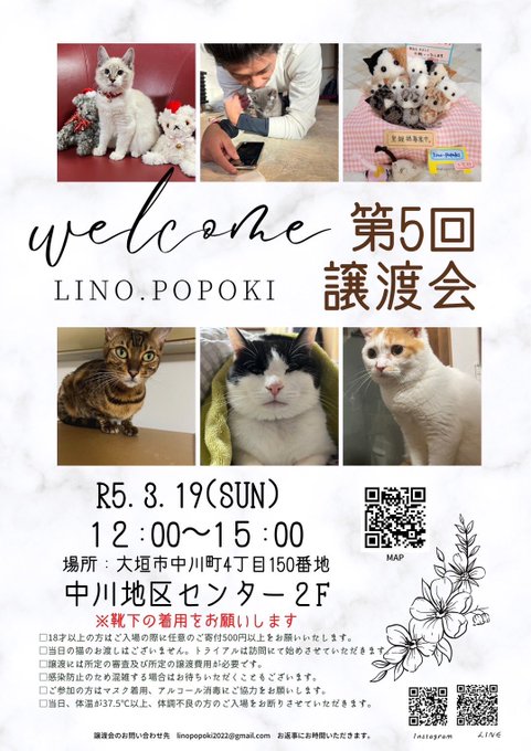 猫』の評価や評判、感想など、みんなの反応を1時間ごとにまとめて紹介 ...