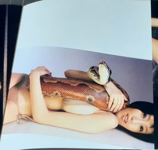 FhjcGio's tweet photo. 森下悠里 大蛇 写真 part 1
お尻と尻尾が下半身をくすぐり気持ち良さそう

@yuuri905590
#森下悠里 #蟒蛇 #蛇 #大蛇 #DGP不正参加 https://t.co/sEW8mE1wxv