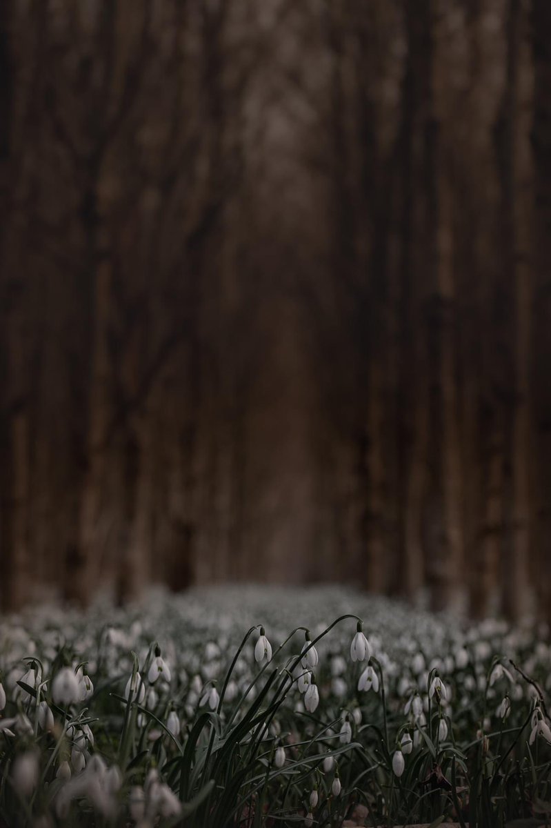 𝑻𝒂𝒓𝒂 𝑲𝒊𝒆𝒌𝒕☕️ tweet media