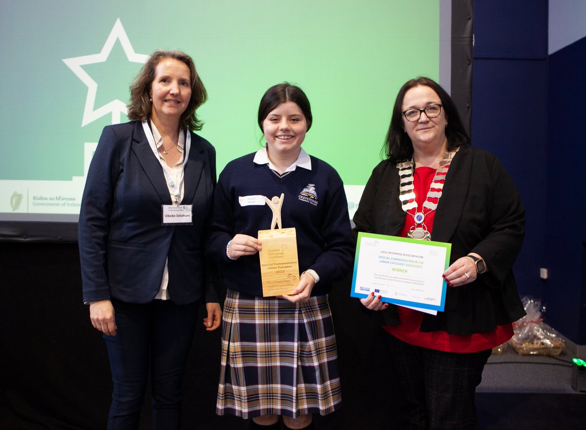 Winners of Junior Special Commendation: Jig Spell from Greystones Community College, Winter Wonders from Greystones Community College, Scented Snowmen from Coláiste Craobh Abhann, and The Hurl Girls from Avondale Community College

Well done to you all!!

#studententerprise #SEP