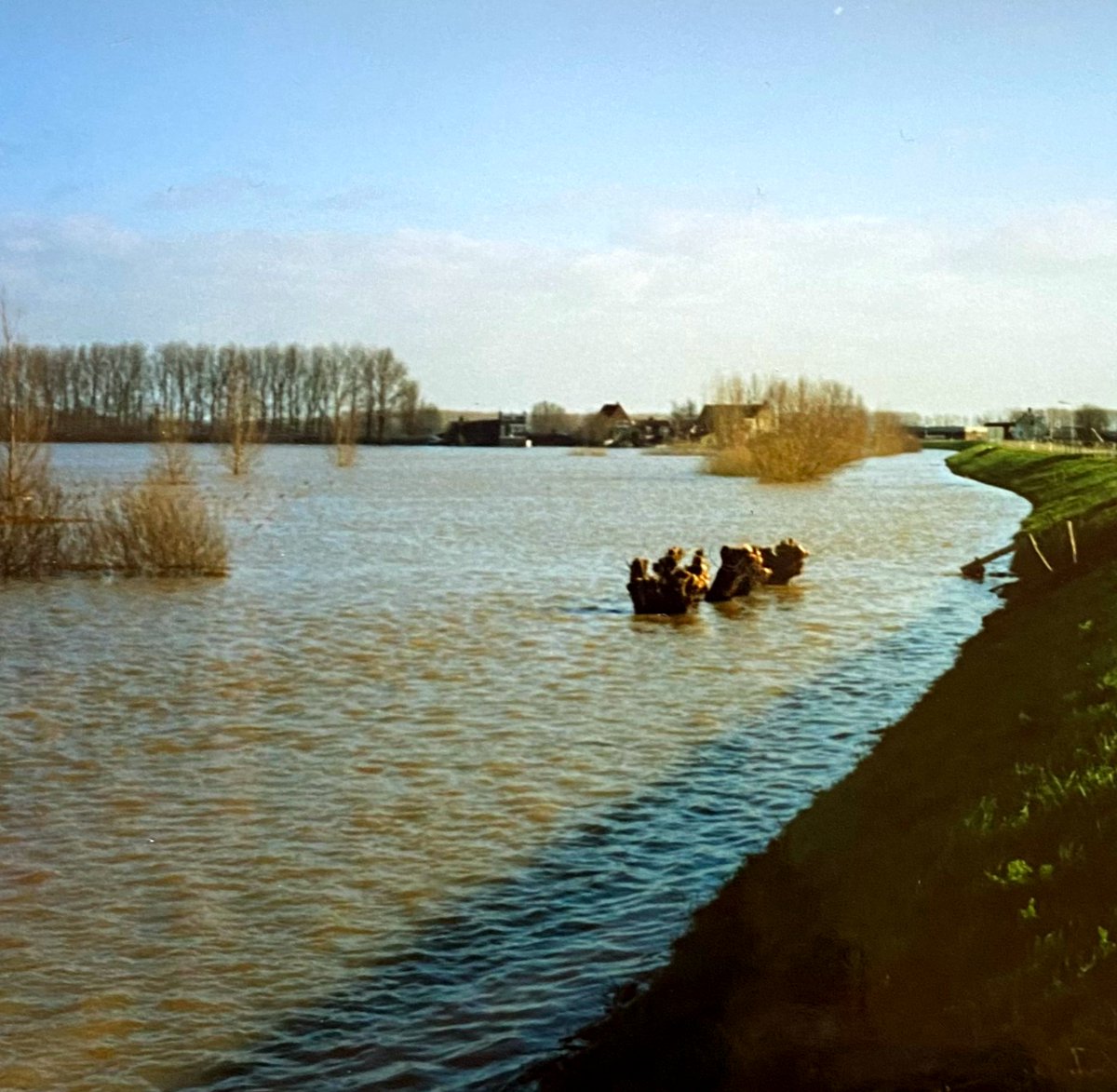 CDA Vijfheerenlanden tweet media