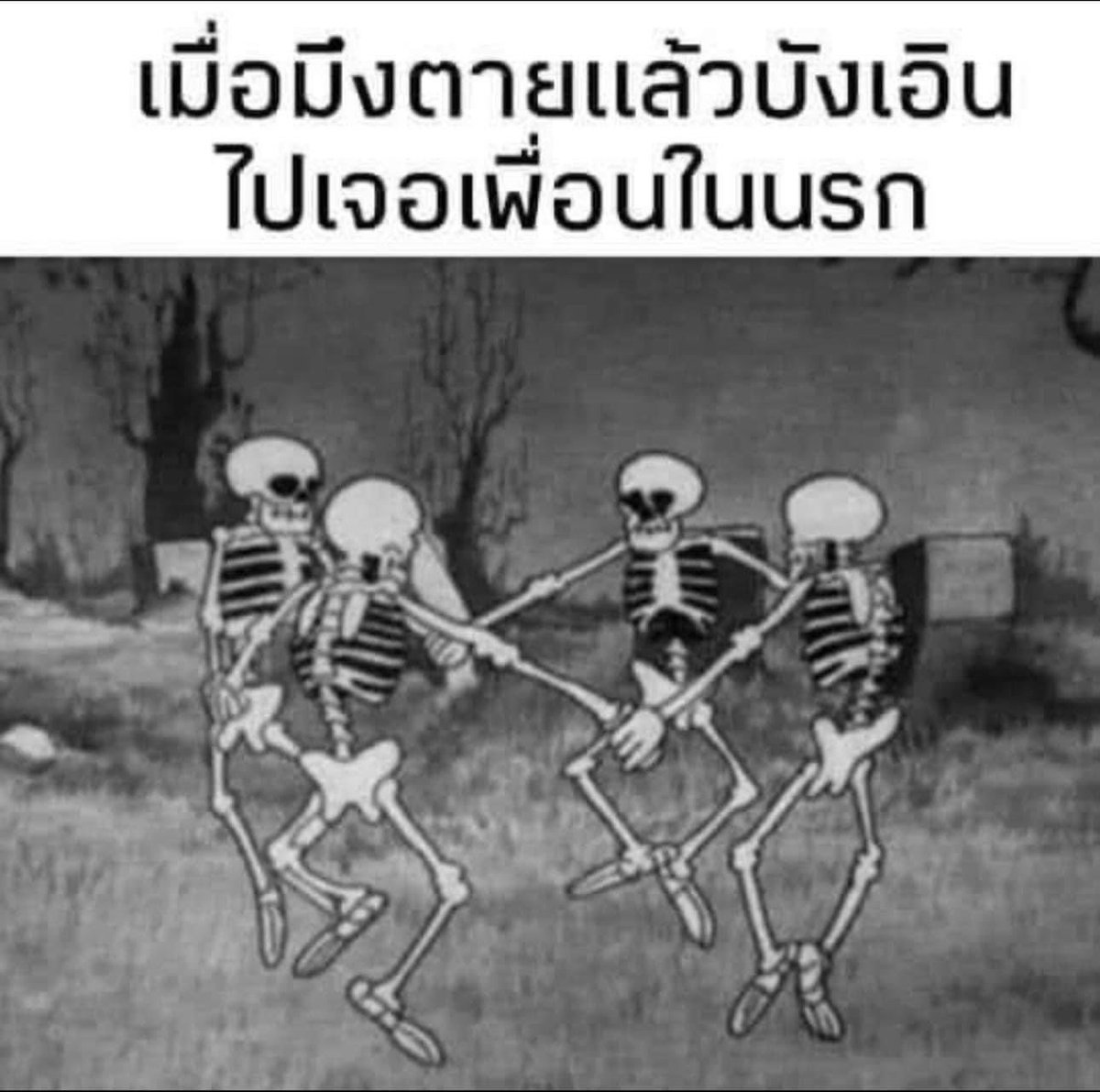 My Image 4