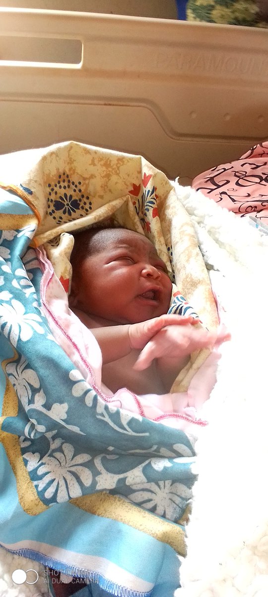 JacobMatende's tweet photo. My gal is out God help her life https://t.co/QzoooA9qZS