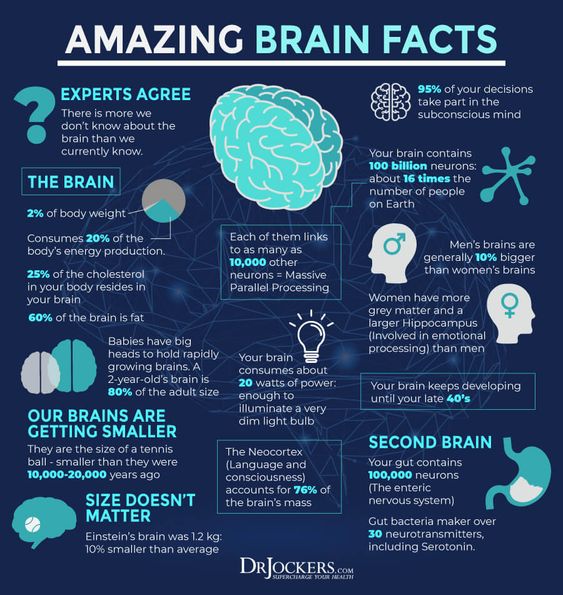 neuronpowers's tweet photo. Amazing facts about your brain https://t.co/noAAv2VBs3