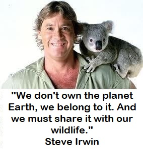 __MadisonScott's tweet photo. Happy #WorldWildlifeDay ! https://t.co/nwPyH4IgZ4