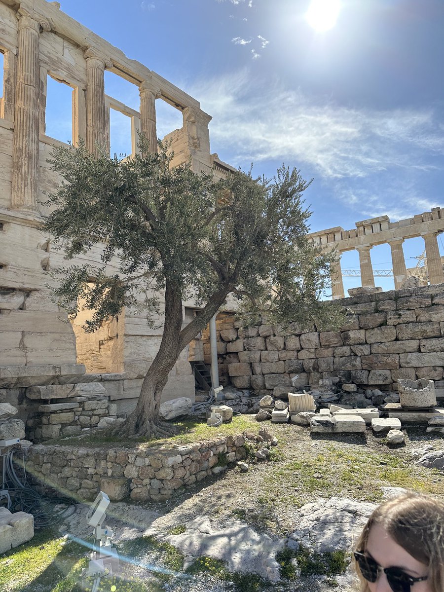 Dave O'Hara tweet media