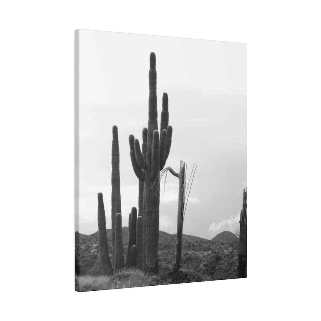 Black & White Group of Saguaro Cactus on Hill 8x10 Canvas Print $73.61
zazzle.com/z/apg8kooz?rf=…
#bohippianfinch #zazzle #zazzleshop #smallbusiness #saguarocactus #arizonacactus #wrappedcanvas #cactusoncanvas #desertphotography #photography #blackandwhite #blackandwhitephotography