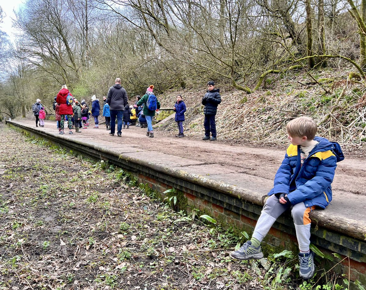 The Sunnywood Project 🌱 tweet media