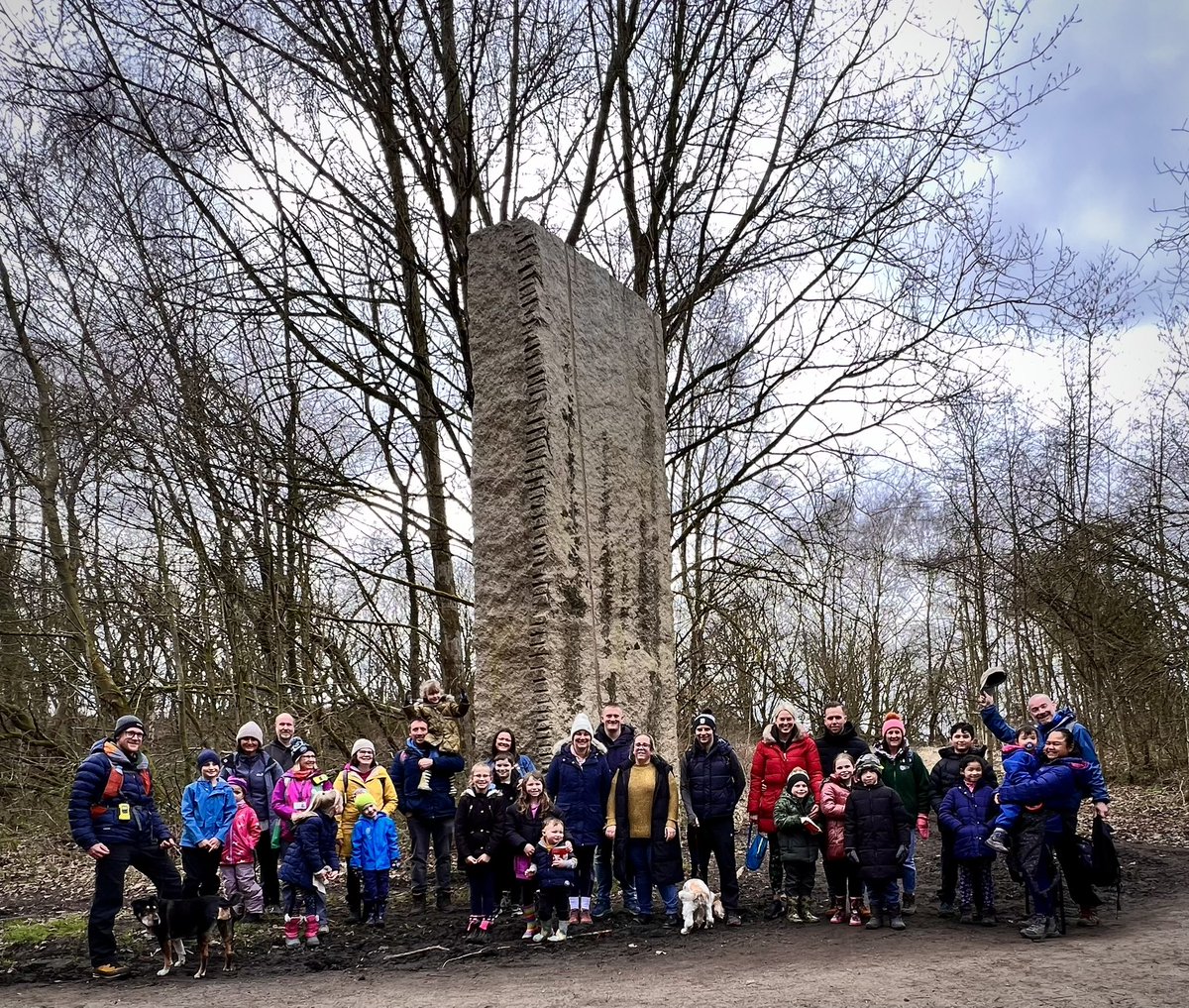 The Sunnywood Project 🌱 tweet media