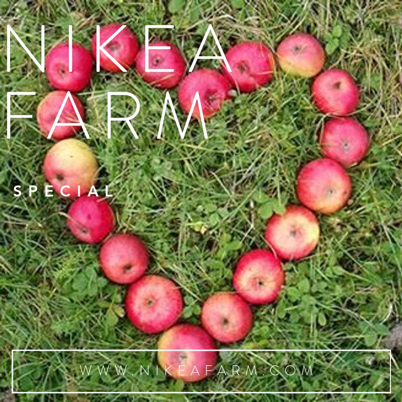 🍎🍏🍎 NIKEA FARM 🍎🍏🍎
🍏nikeafarm.com
🍎Whatsapp: +90 5426559463 
🍏Apple variates available.
🍎Origin TURKEY 
🍏Hight quality 
🍎#nikeafruit 
🍏#nikeafarm 
🍎#greenapple 
🍏#redapple 
🍎#apple