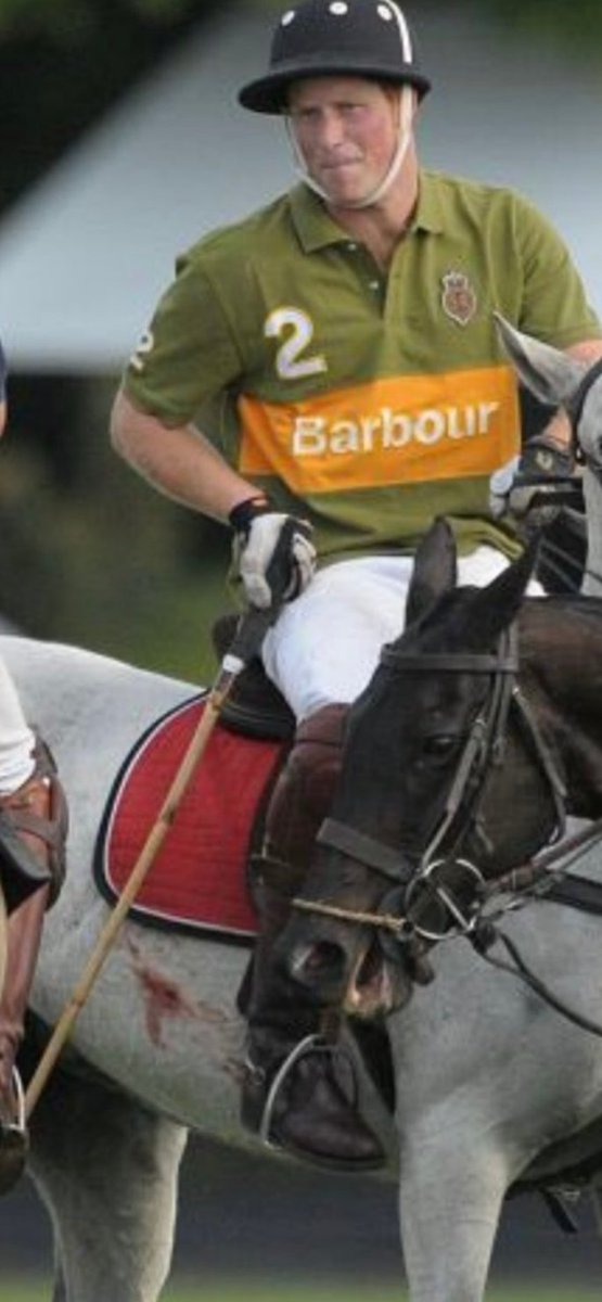 #PrinceHarryhasgonemad
Abuses animals for sport!! 
I own horses, never had to wear spurs, and used properly they never leave picture wounds and blood on the poor horse! Sick bastard!