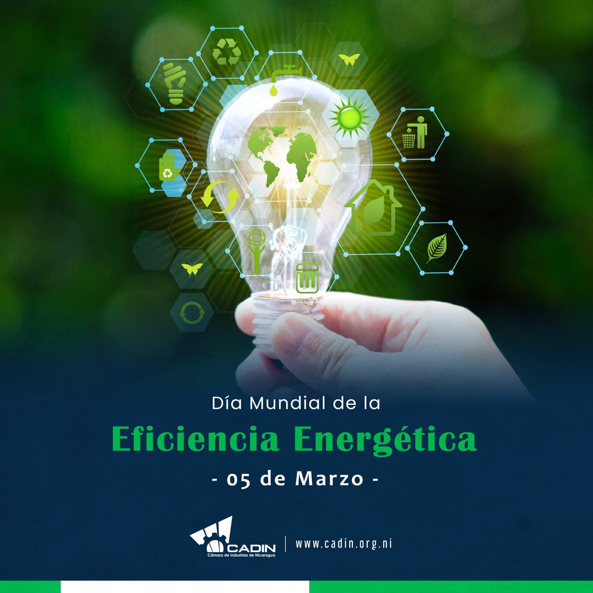 💡🌿#5deMarzo  𝐃í𝐚 𝐌𝐮𝐧𝐝𝐢𝐚𝐥 𝐝𝐞 𝐥𝐚 𝐄𝐟𝐢𝐜𝐢𝐞𝐧𝐜𝐢𝐚 𝐄𝐧𝐞𝐫𝐠é𝐭𝐢𝐜𝐚