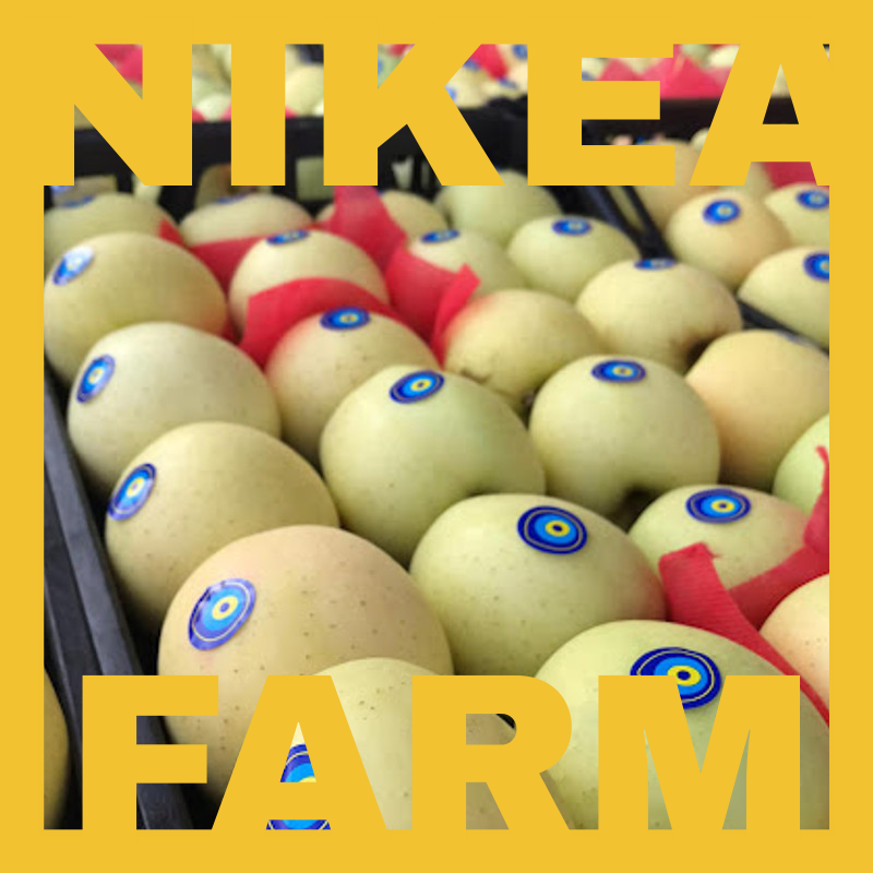🍎🍏🍎 NIKEA FARM 🍎🍏🍎
🍏nikeafarm.com
🍎Whatsapp: +90 5426559463 
🍏Apple variates available.
🍎Origin TURKEY 
🍏Hight quality 
🍎#nikeafruit 
🍏#nikeafarm 
🍎#greenapple 
🍏#redapple 
🍎#apple