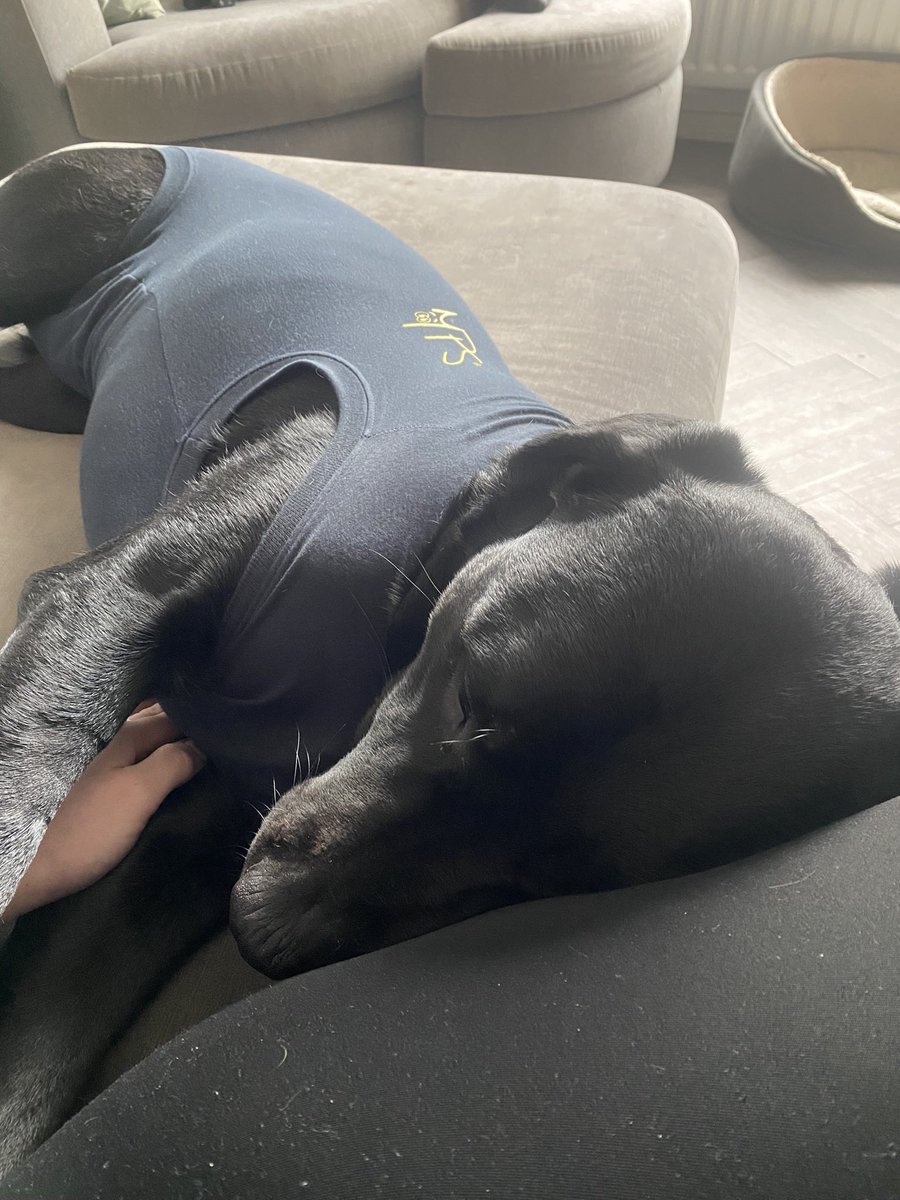 Amie Addison - Jones tweet media