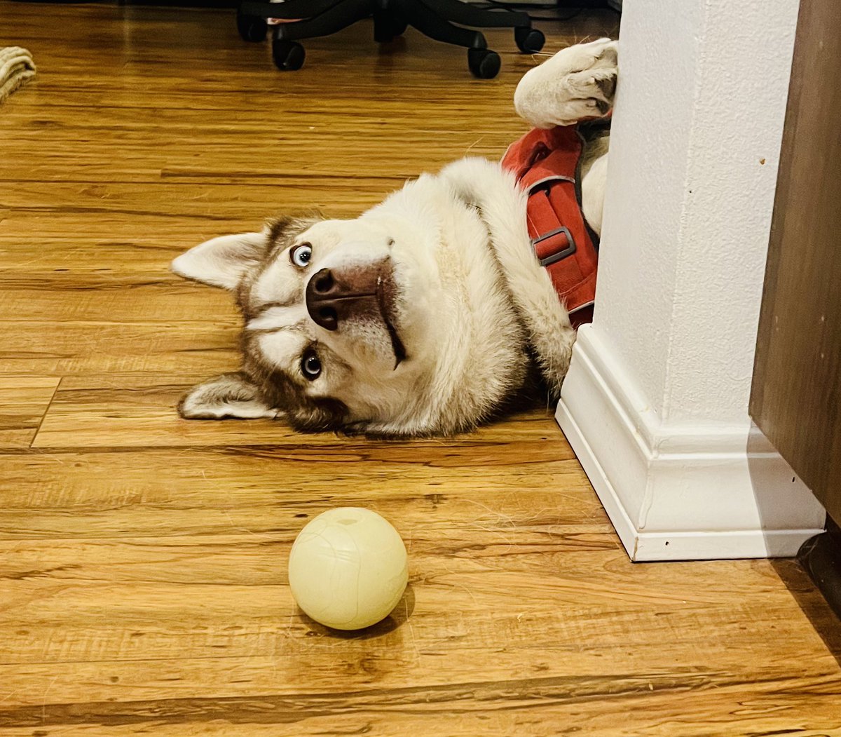 Andrew Vest tweet media