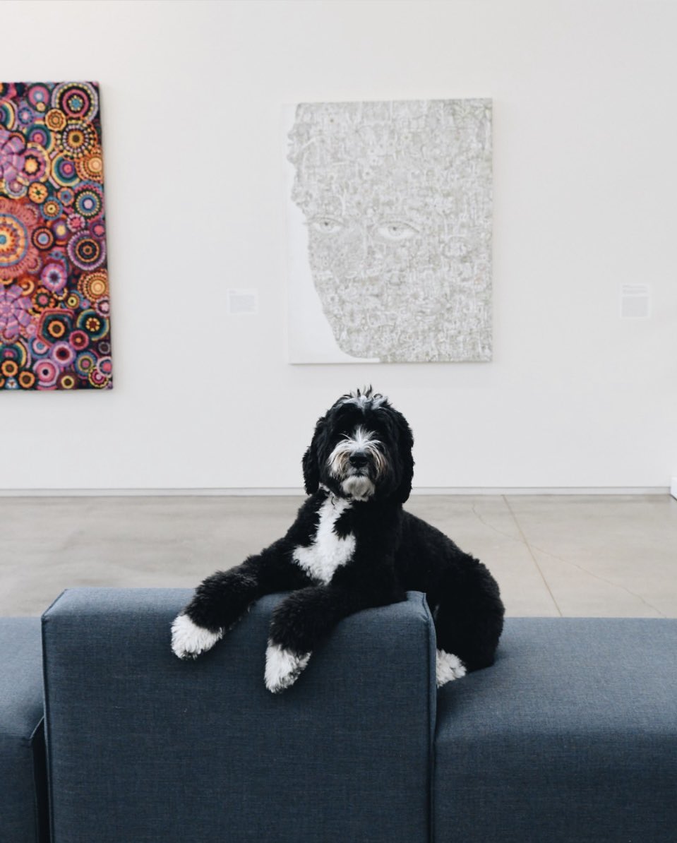 My work on view at @21cHotels #painting #art #dog