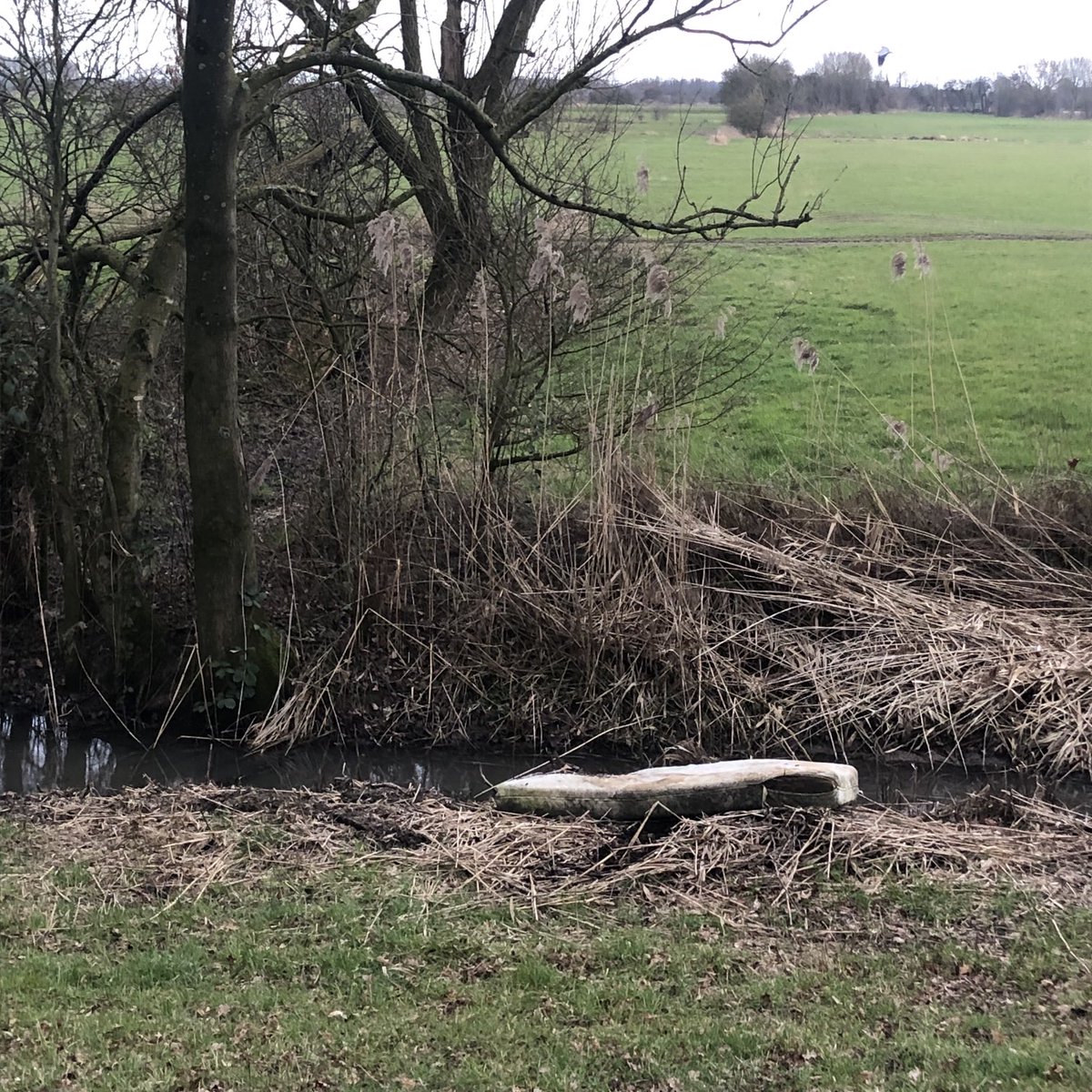 judevanroy's tweet photo. Iemand zijn matras kwijt?                       Het ligt aan rand van de sloot bij het laantje aan achterkant van ⁦@AmerongenCastle⁩                               ⁦@gem_heuvelrug⁩ misschien kan het opgehaald worden? https://t.co/jqsy8DAmnW