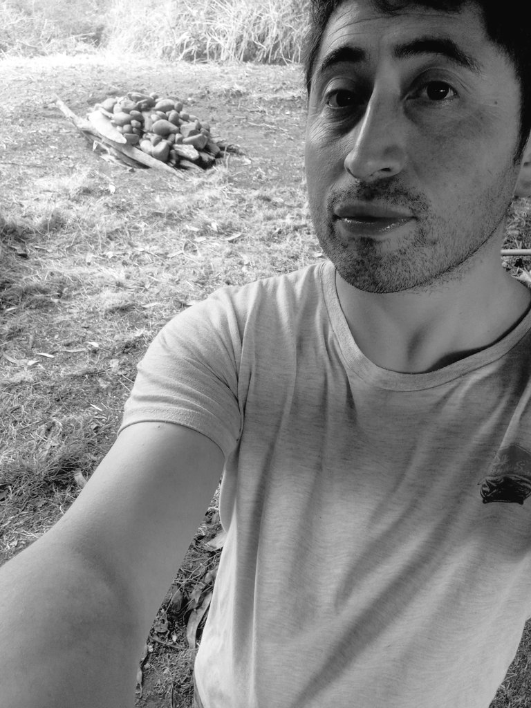 teoampuero's tweet photo. Curanto al hoyo, casi finalizando los meses de calor y sol en #Chiloé, entre amigos y familiares compartiendo y preservando nuestra adorada cultura 🙌🏻👍🏻🥰 #Polocué #Ancud #chilotes #cultura #MarBravaSinEolicas #pequeñoagricultor #CurantoAlHoyo #gayboy #LGTB #ChileLoMásHermoso 🇨🇱 https://t.co/TI8a8E1yrM