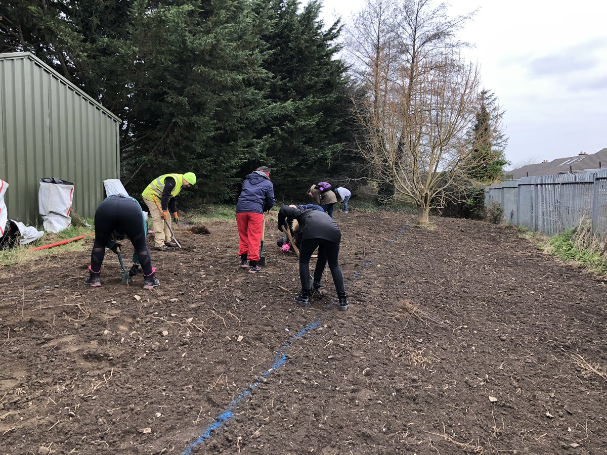 GardenPlanta's tweet photo. Thanks to all the super amazing volunteers yesterday- we planted 1000 trees @roundtowers Clondalkin Hawthorn, Alder, Crap Apple, Hazel, Birch, and Spindle, with Apple tree orchard. Kindly supported by #treesontheland #nativetreesireland #ClimateAction @sineadster https://t.co/NkNbJy9OXR
