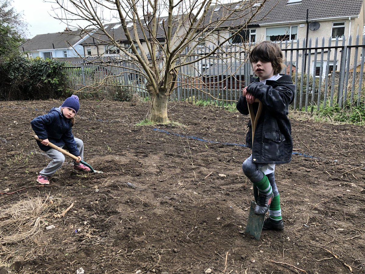 Thanks to all the super amazing volunteers yesterday- we planted 1000 trees <a href="/roundtowers/">Round Tower GAA Club - Cumann an Chloigthí CLG</a> Clondalkin Hawthorn, Alder, Crap Apple, Hazel, Birch, and Spindle, with Apple tree orchard. Kindly supported by #treesontheland #nativetreesireland #ClimateAction <a href="/sineadster/">Sinéad Curran 🇺🇦 💙💛 🍃💚🍃 🇯🇴</a>