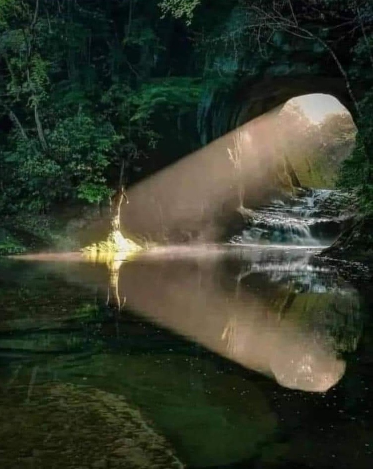 Stephanie Jane 🥒 tweet media