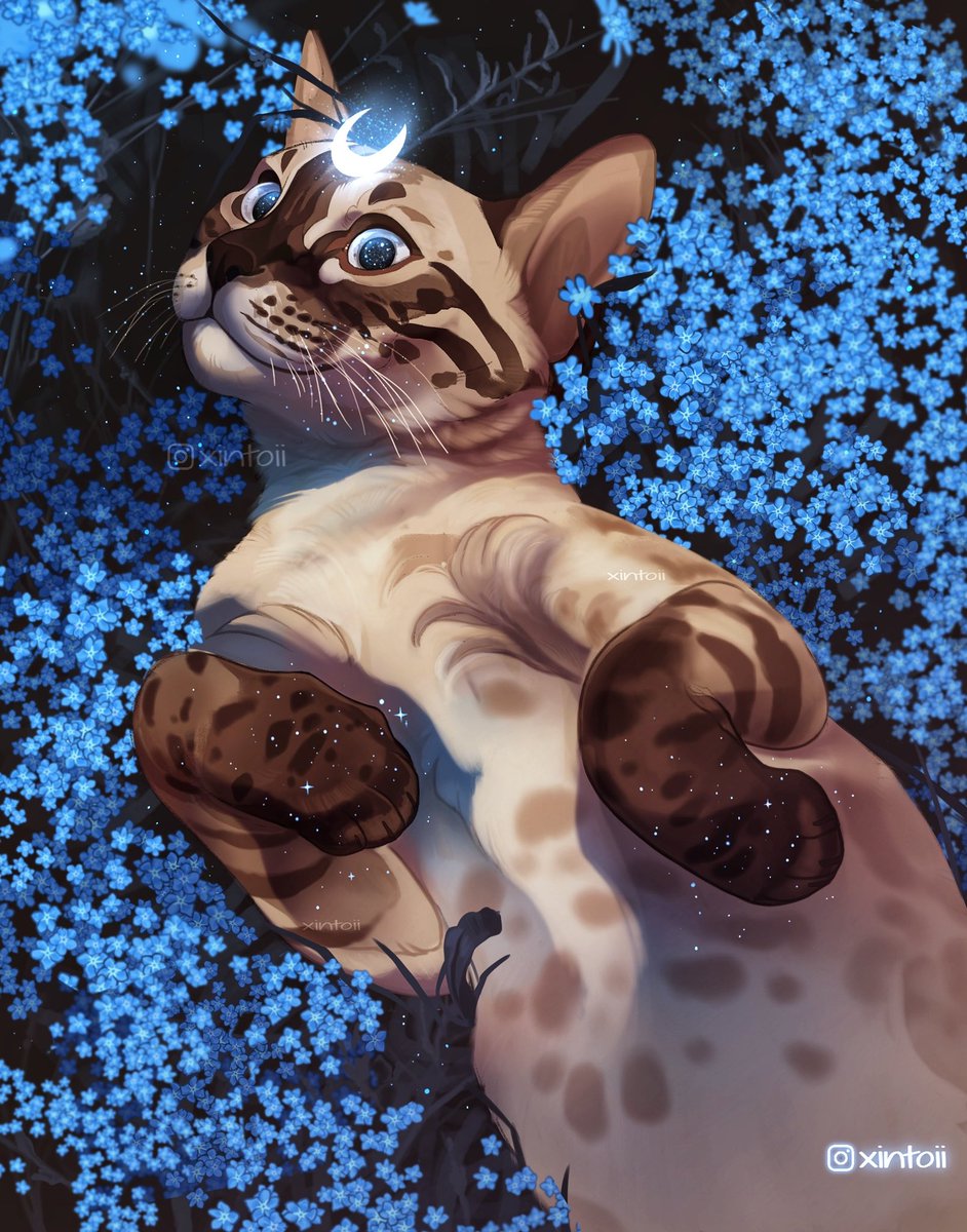 Memorial piece of Blue—he would have turned 6 today, but FIP got him too soon. Wanted to post this for his birthday♥️