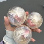 あいきゃんのツイート画像