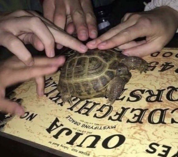 Hum_farting's tweet image. F…. A…….  R…,,  T,,,