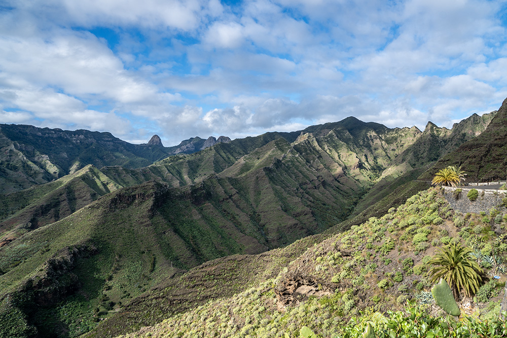 La Gomera – Kanariansaarten vehrein saari | Seven Seas sevenseas.fi/2023/02/la-gom… #LaGomera #Kanaria #matkablogi <a href="/SannaSevenSeas/">Sanna | Seven Seas</a>
