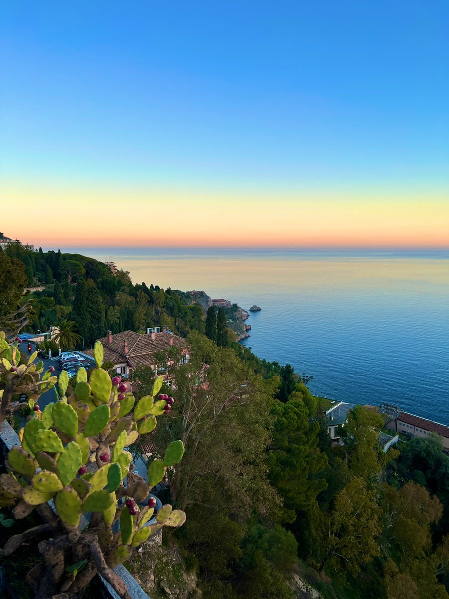 Lisa | Following the Rivera tweet media