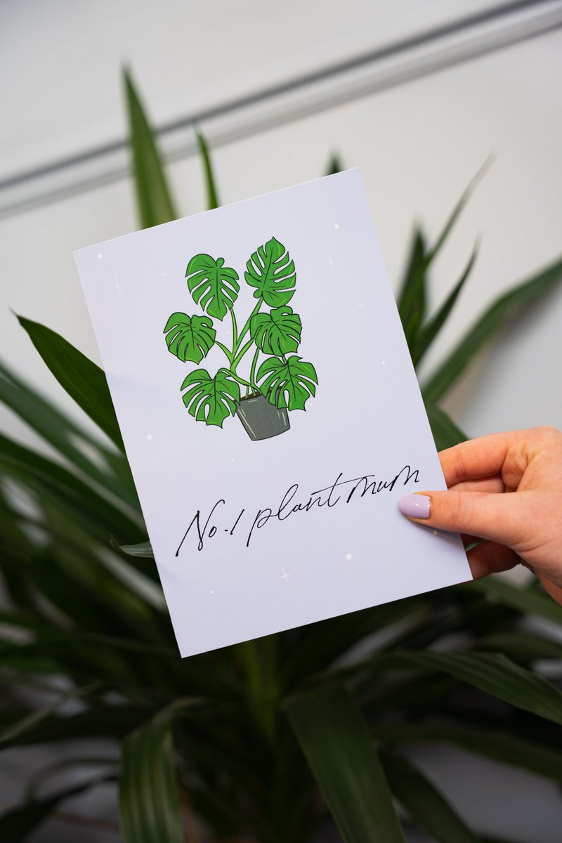 @planetbeecards tweet media