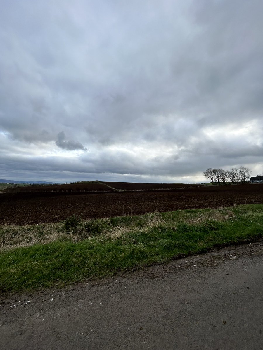 Some winter wheat that’s late to the party, great weather but I’d say we’ve still winter to come 😵‍💫