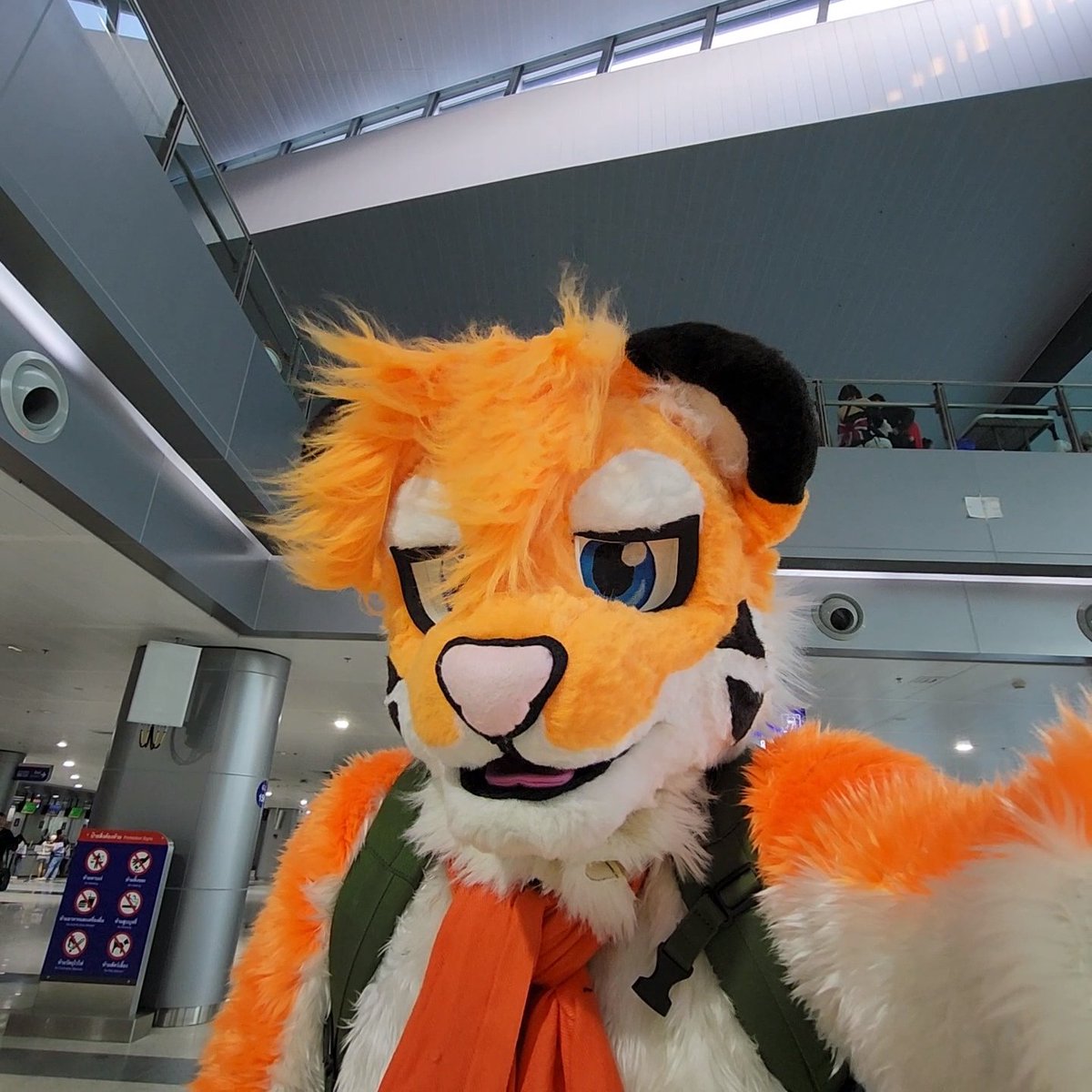 katoliger's tweet photo. #katoliger #furry #fursuitor #FursuitEveryday #coscossuki งานสนุกมากมากครับ ขอบคุณมากๆครับ https://t.co/tYagee8Xlw