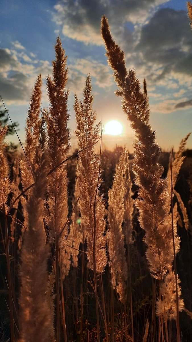 – доброе утро, путешественник. вот и наступило воскресенье, надеюсь, ты успел отдохнуть за эти два дня. чем планируешь заняться сегодня?