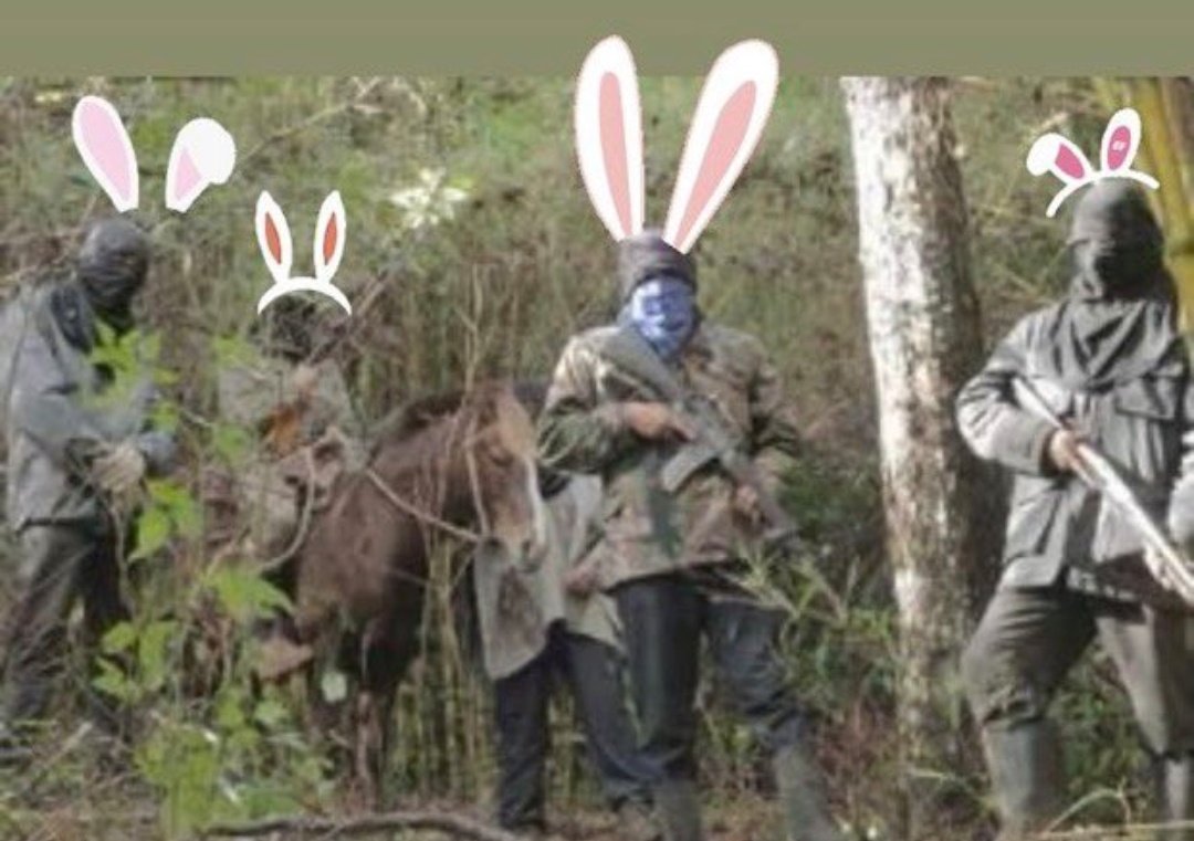 AngelDLaCruz_'s tweet photo. 🔥 Completamente calcinada la capilla católica en sector Californina en ruta CH 168 camino Victoria, Curacautín.
¿Habrán sido los conejos terroristas 🐇?

#alerta #MesaCentral #conejospironanos #ConejosTerroristas #Araucania #cam #camterrorista #terrorismo #incendiosintencionales https://t.co/F23K6DzHRZ
