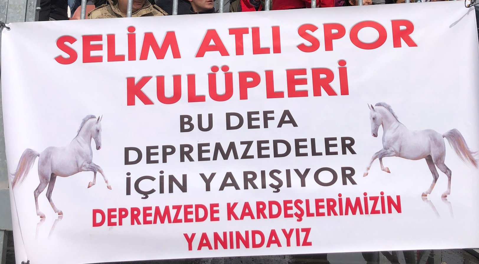 Resim