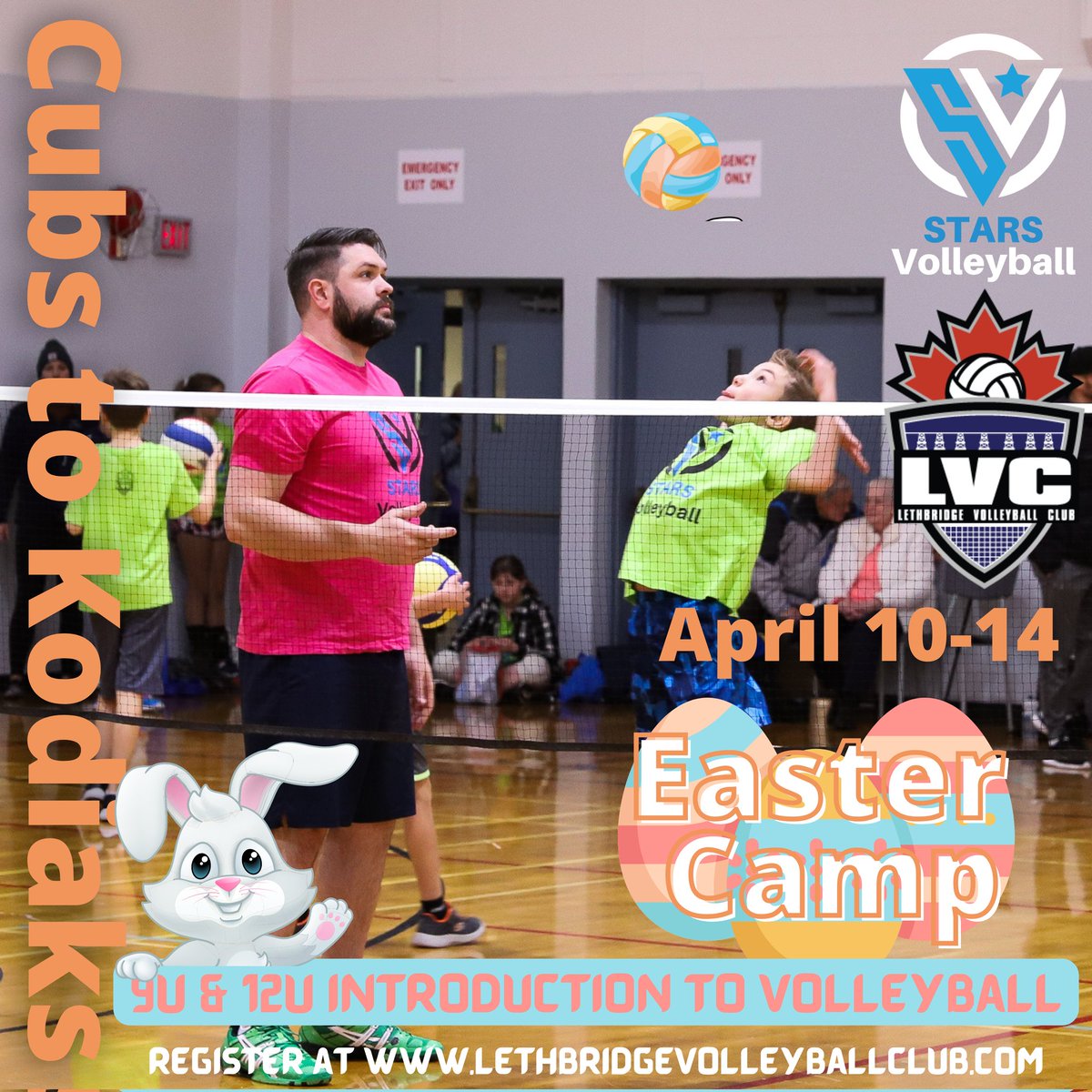 stars_vball's tweet photo. Come and join us for all the fun!

Register at https://t.co/leM6LpoL9t

Cubs to Kodiaks is an introduction to volleyball program for U9 and U12 athletes that we run with our partners  @LVCVolleyball 

#volleyball #grassroots #fun https://t.co/Wzc0ZFJC6e