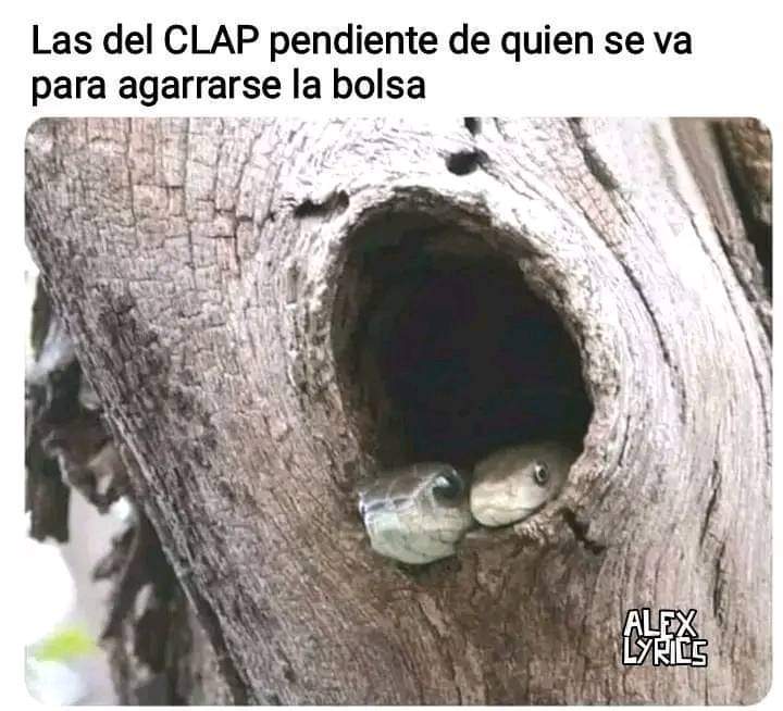 Acá veo es a tu abuelha y tú mamha....