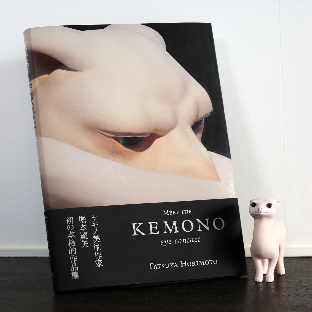 ほりだしものや ほりもん 堀本達矢 (@HORIMOTO_T) / Posts / X