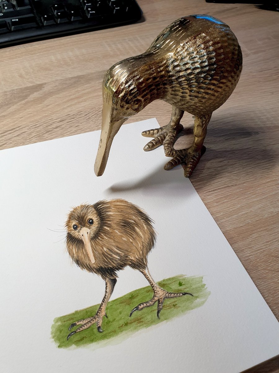 _Philipp_Ba's tweet photo. #animalmarch Tag 05: Kiwi

Bild musste erst ausgiebig vom Kiwi geprüft werden.

#kleineKunstklasse #watercolorpainting #kiwi https://t.co/bO69oMh03q