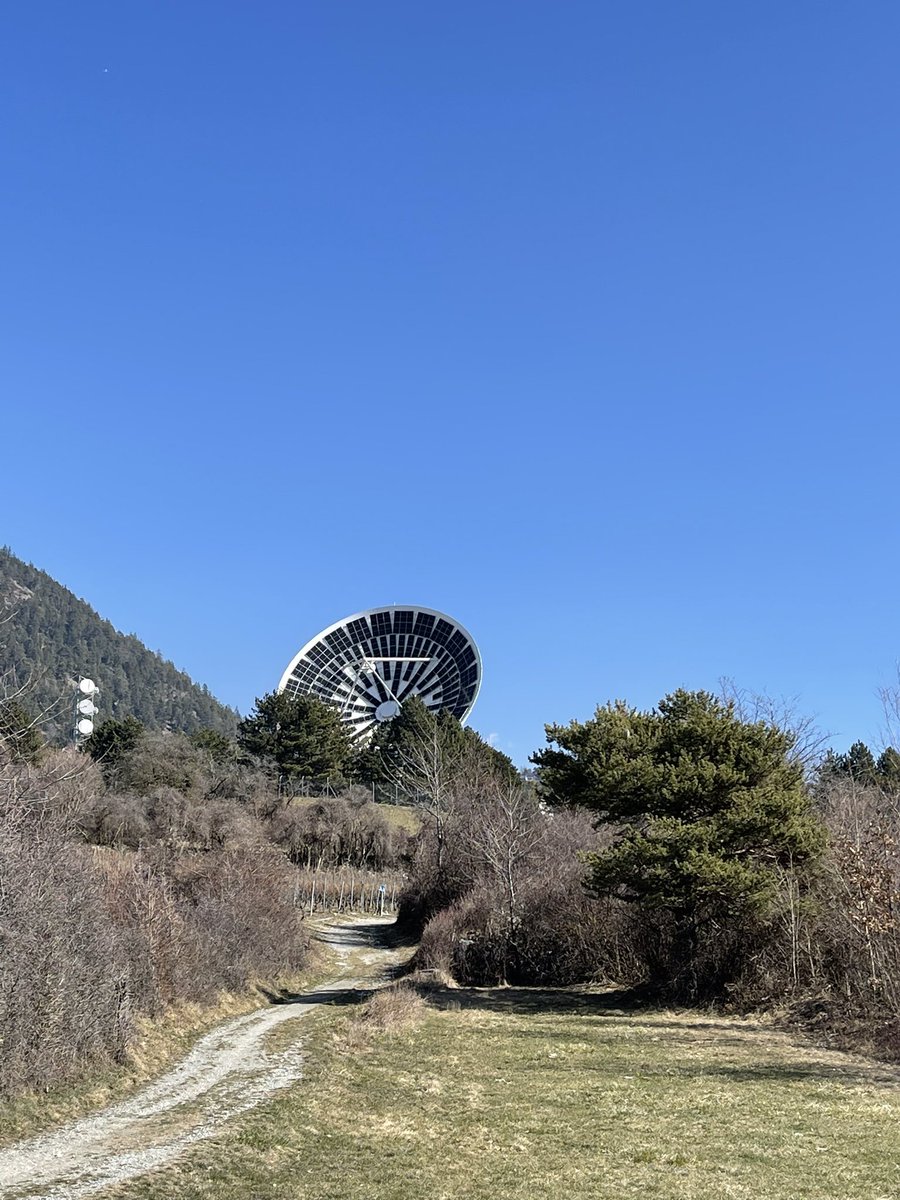 Frank Zosso tweet media