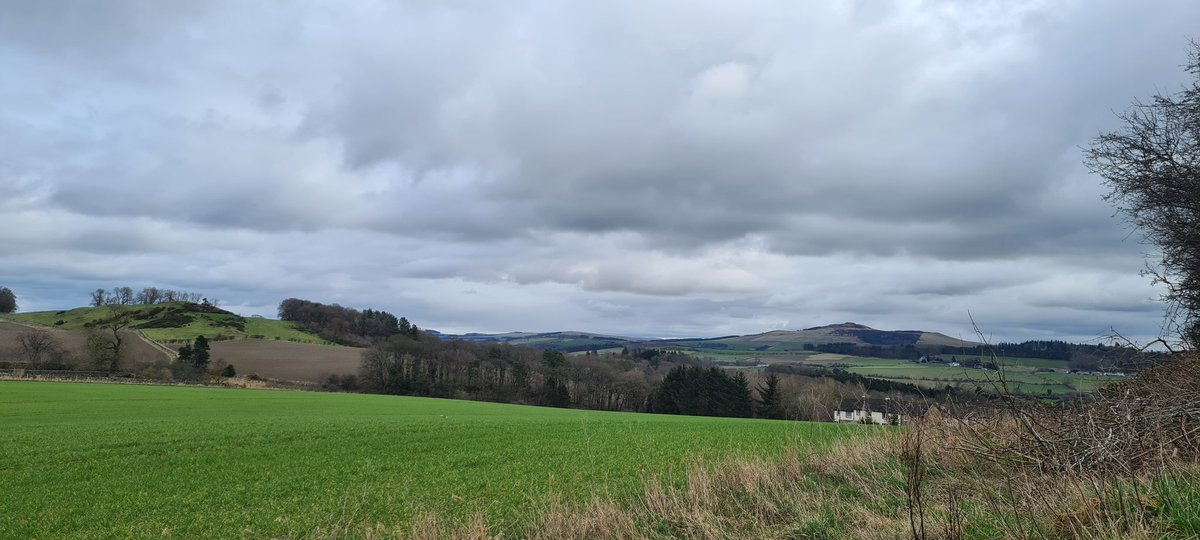 brokemystrings's tweet photo. It's absolutely beautiful out there today,  the sun came out and I could smell the wild garlic!  Earphones switched themselves off and wouldn't come back so I listened to nature's lovely sounds for a bit ❤️ @runningpunks #VRC https://t.co/BMV7g4m1hb