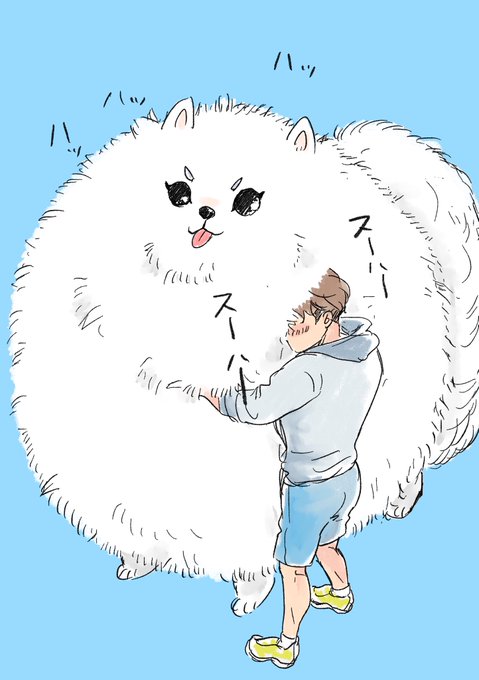 犬吸い中(幸郎)※ポメ光来くん… 