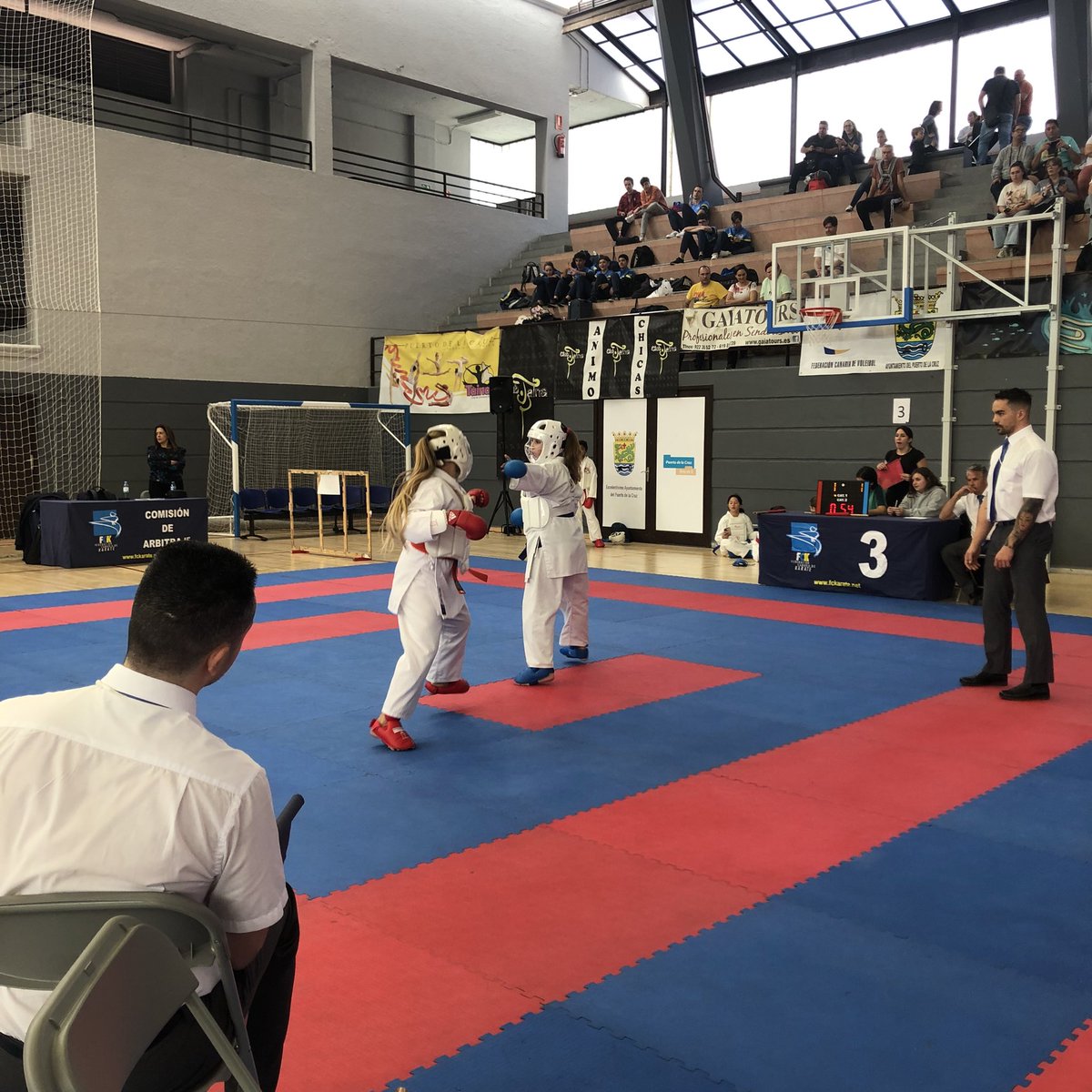 Fede Canaria Karate tweet media