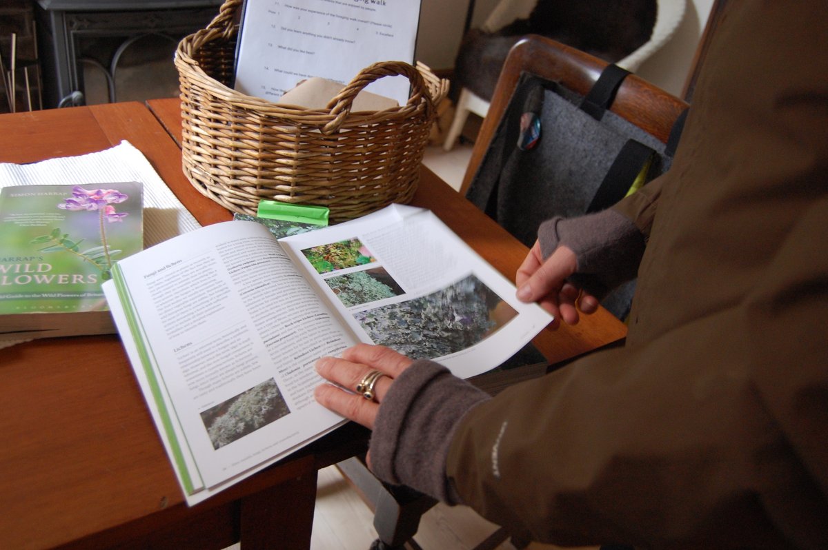 Edible High Town tweet media