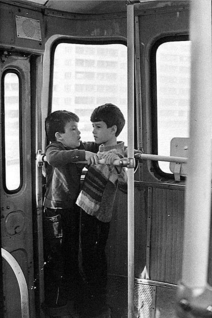 Мөлхөө ногооны ард ингээд зогсоод явдаг бсан динзааврууд бнуу